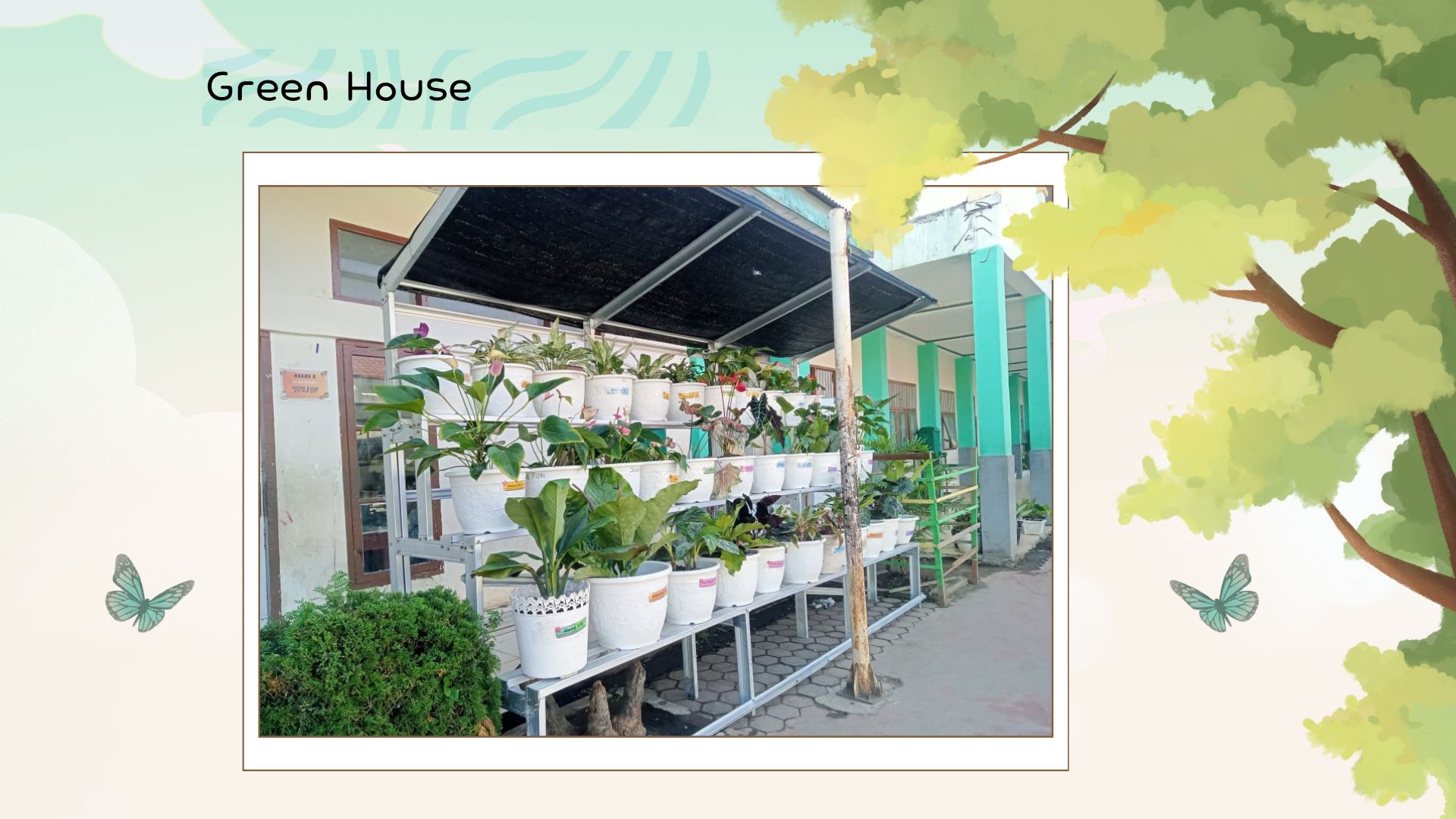 Green House School