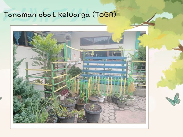 Tanaman Obat Keluarga (TOGA)